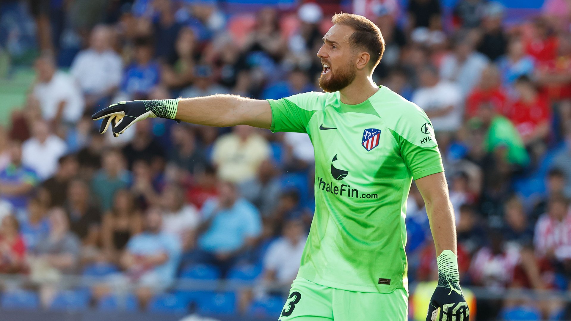 jan-oblak Les meilleurs gardiens de tous les temps